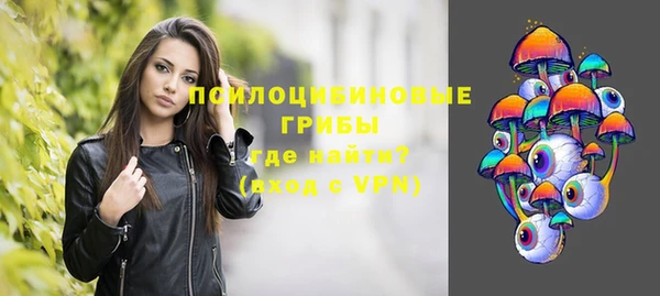 индика Алзамай