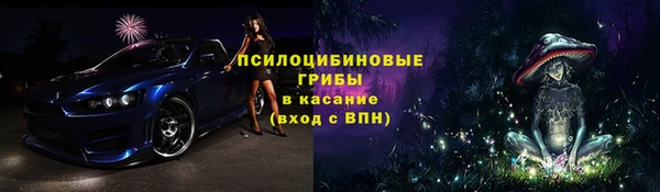 индика Алзамай