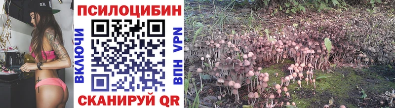 Галлюциногенные грибы Psilocybine cubensis Снежинск