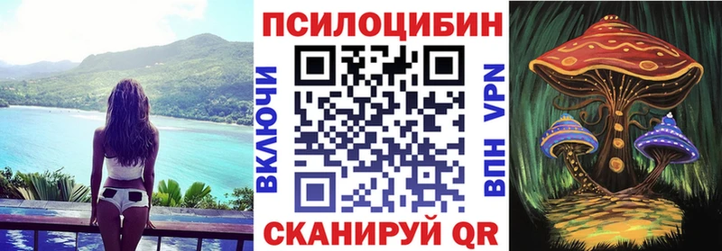 kraken ONION  Снежинск  маркетплейс состав  где купить   Галлюциногенные грибы ЛСД 